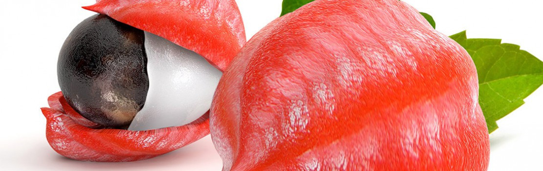 La Guarana : l’herbe indispensable pour la virilité