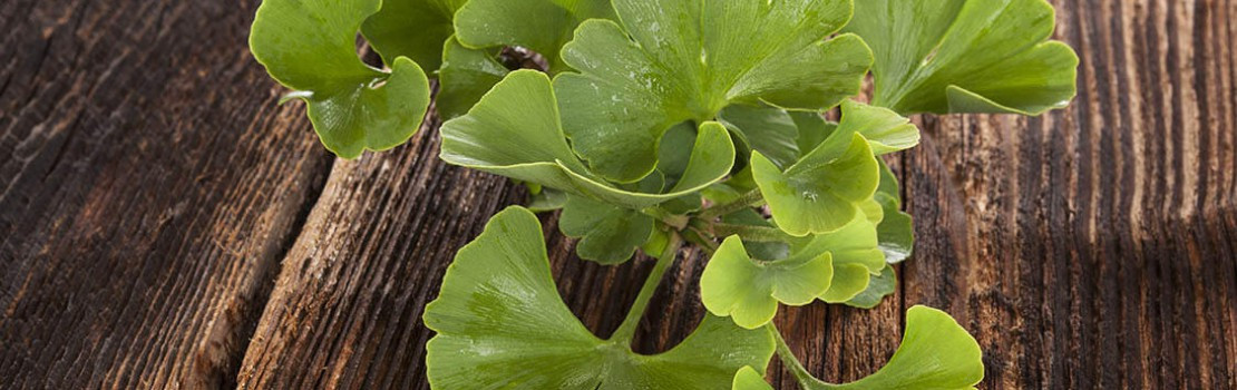 les-recettes-de-grand-mere-qui-renforceront-votre-virilite